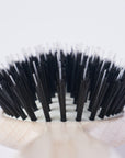 Scalp Brush - 29201