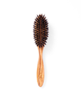 Scalp Brush - 2455